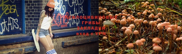 меф Алексеевка