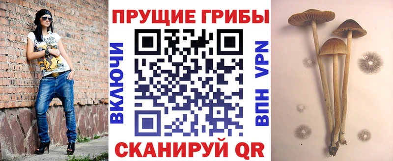 KRAKEN ссылки  закладка  Ликино-Дулёво  Галлюциногенные грибы прущие грибы 